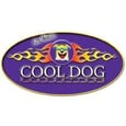 CoolDog Productions